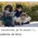 En vacances, je lis a...
